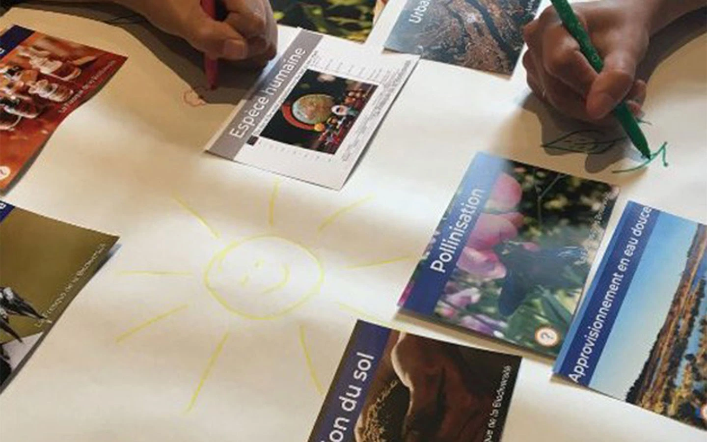 Image for Innov RH propose les Fresques de la biodiversité et du numérique