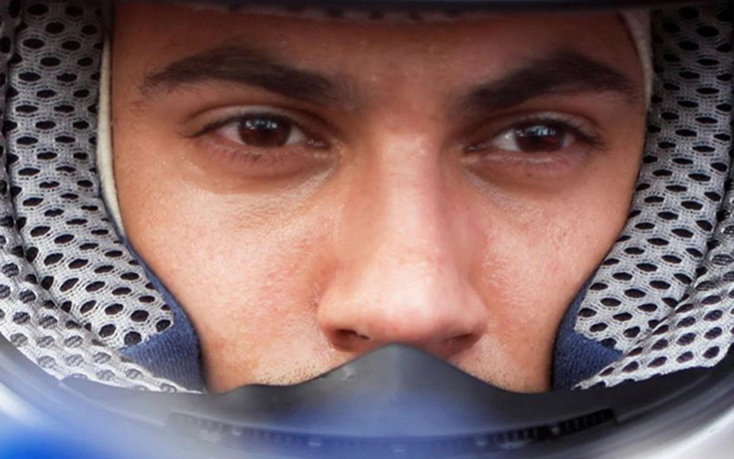 Image for Physalis analyse la gestion et le pilotage des entreprises